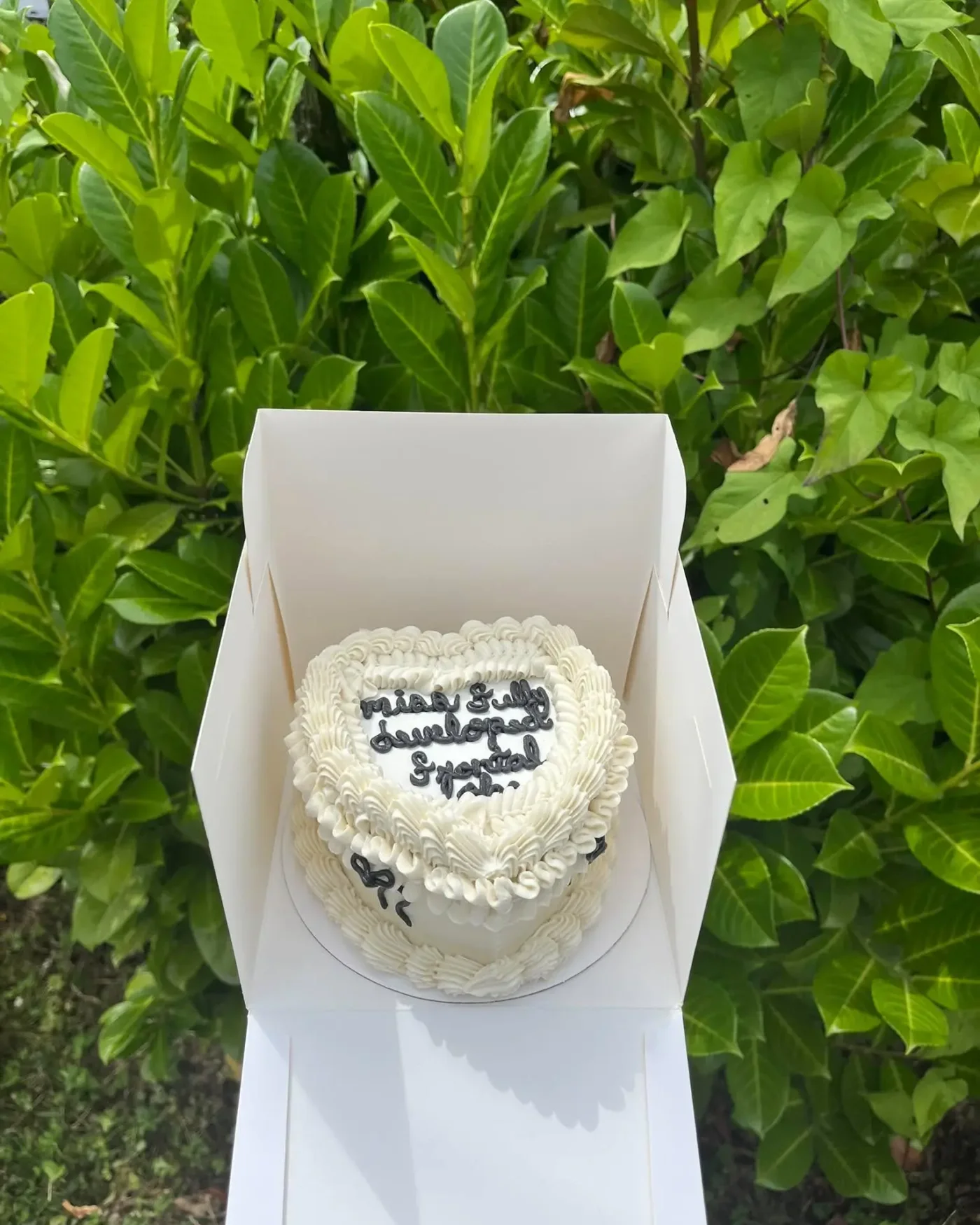 Heart Cake