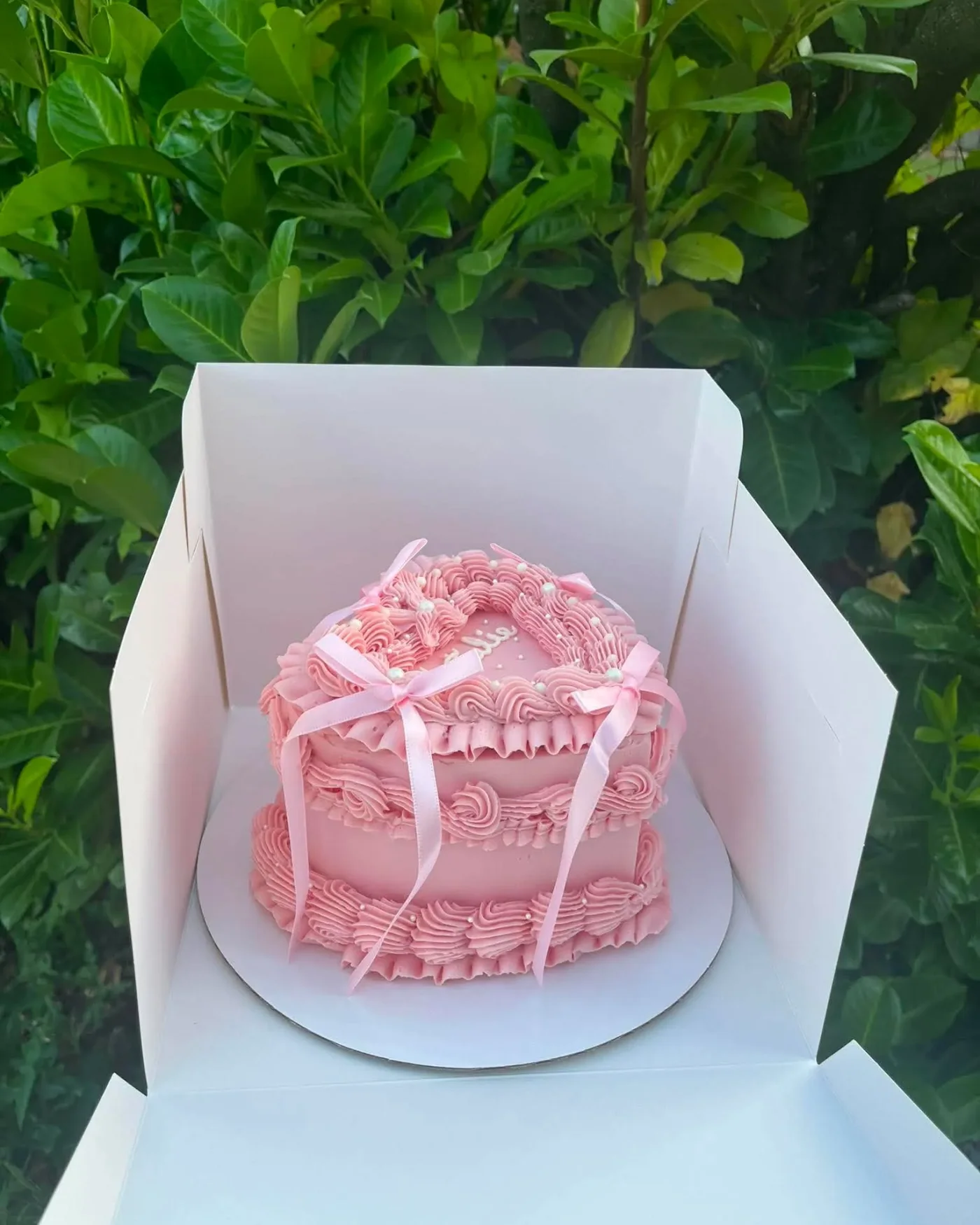 Heart Cake