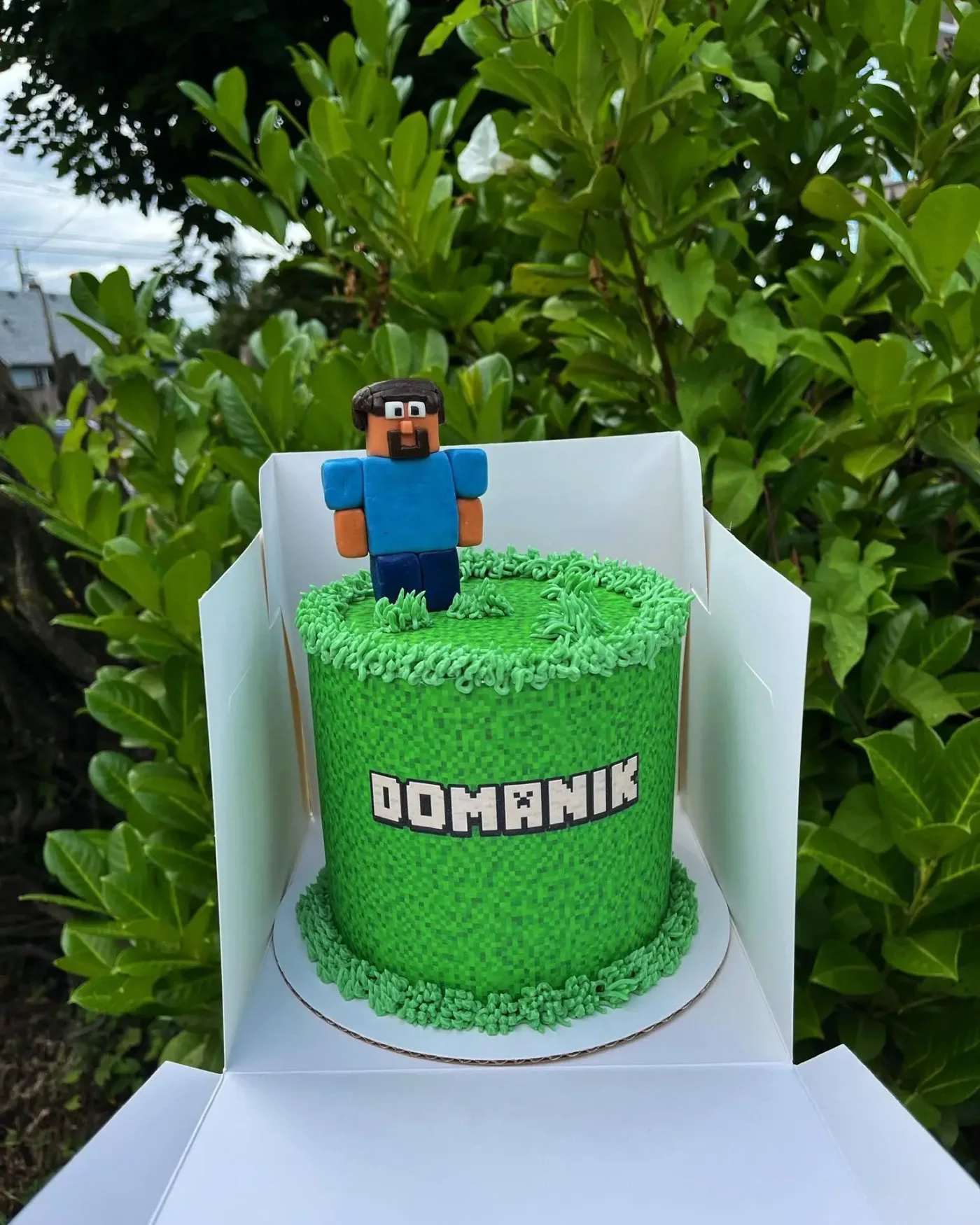 Custom Cake